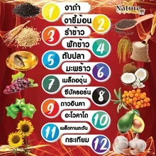 ภาพขนาดย่อของภาพหน้าปกสินค้าNew ️ ️น้ำมันสกัดเย็น 12 ชนิด mix oil ( 60 แคปซูล ) จากร้าน Sacha_inchi_factory บน Lazada ภาพที่ 2