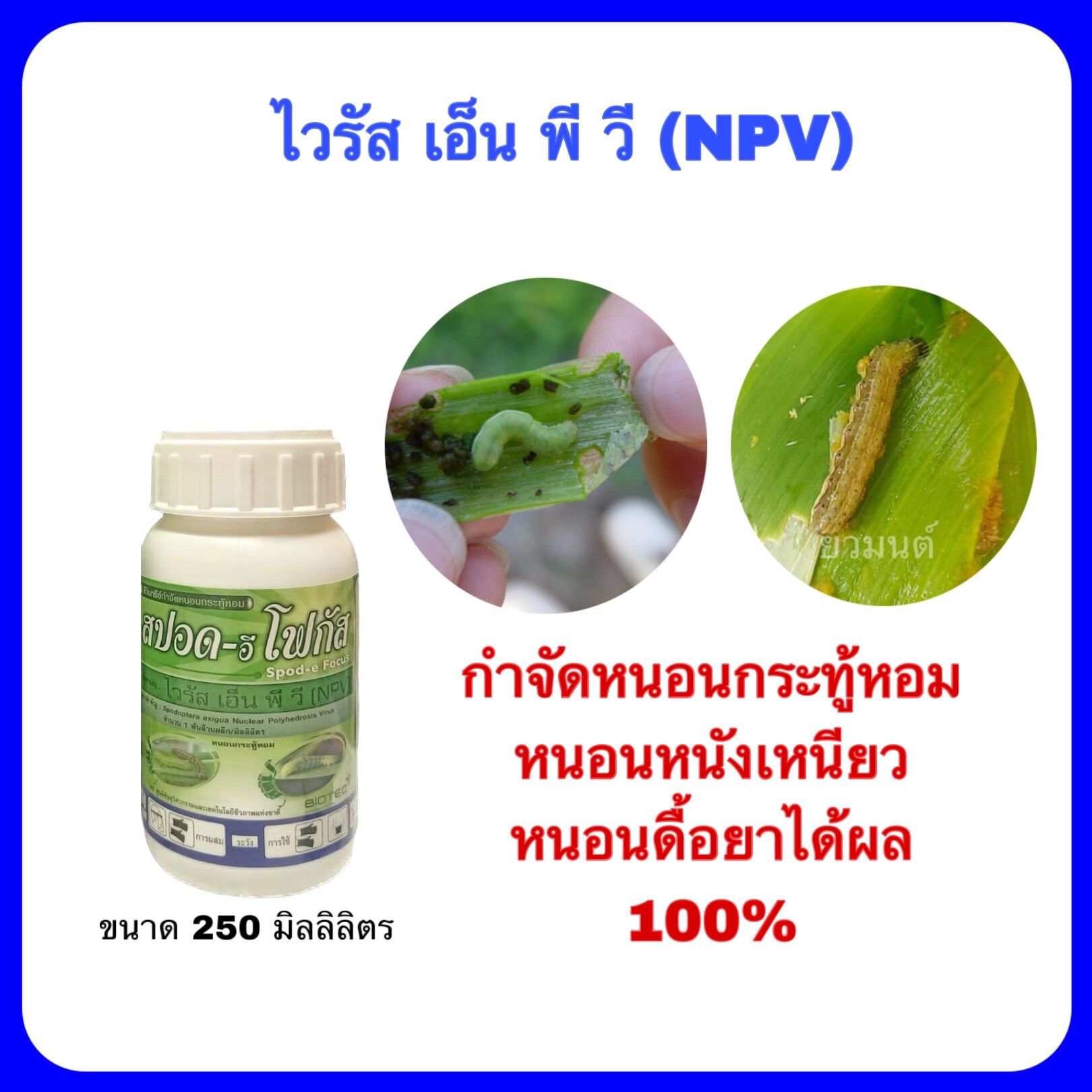 My Image 48