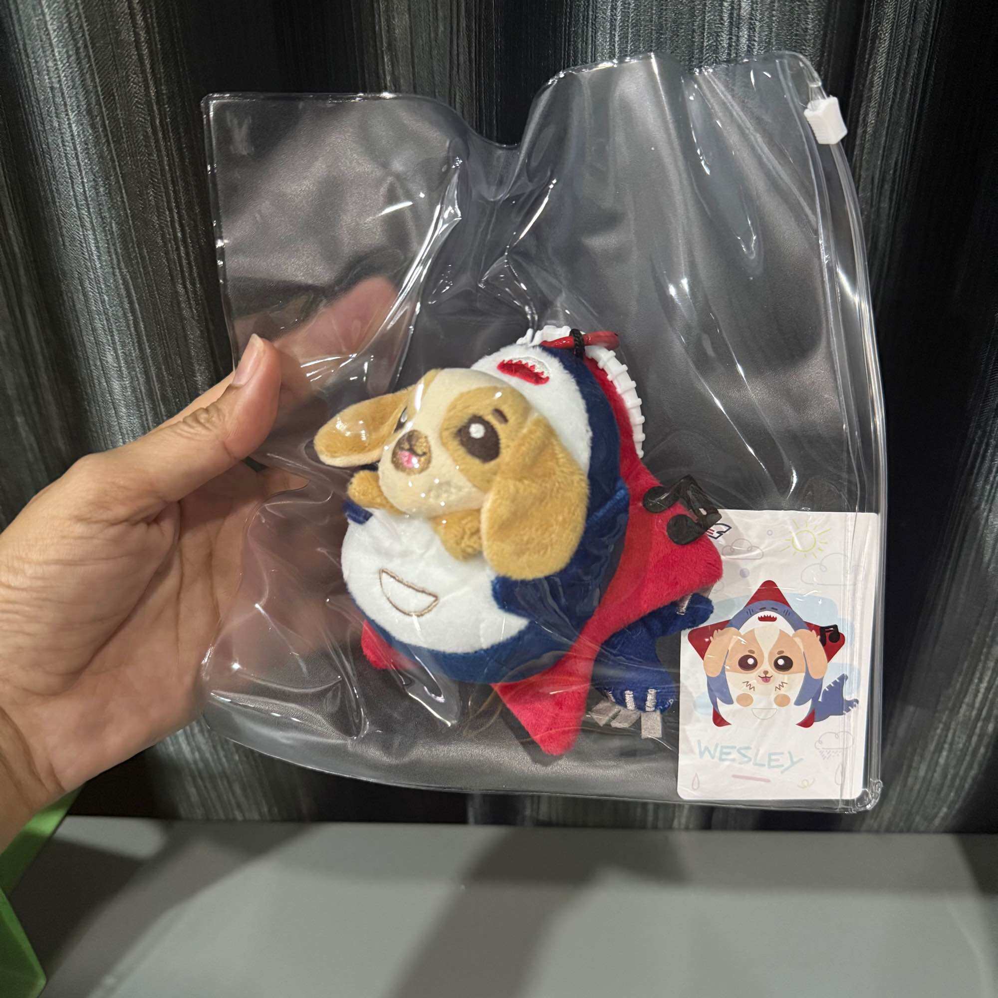 <พร้อมส่ง> WESLEY BREEZY BALLOON DOLL KEYCHAIN LIMITED