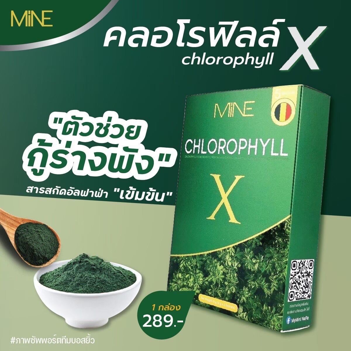 🥦🥬Mine chlorophyll X คลอโรฟิลล์เอ็กซ์ คลอโรฟิลล์มายมิ้น (1 กล่อง มี 5 ซอง) Lazada.co.th