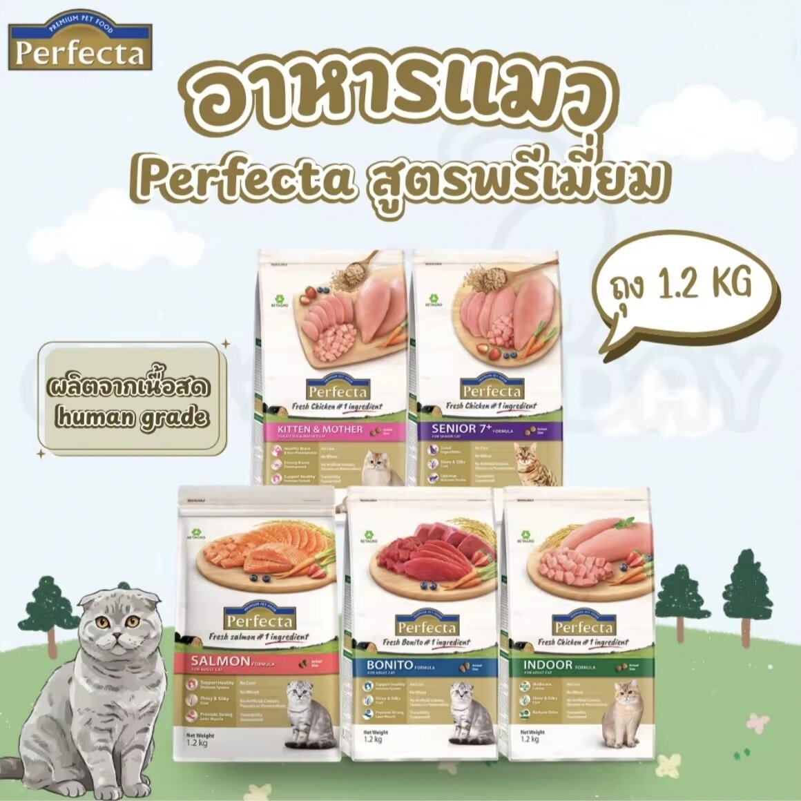 [1.2kg Bag] Perfecta Cat Food, Perfecta Premium Cat Food Pellets, High Protein, Uses Real Meat, High Quality, Human Grade. ราคา 264 บาท*ส่งฟรี
