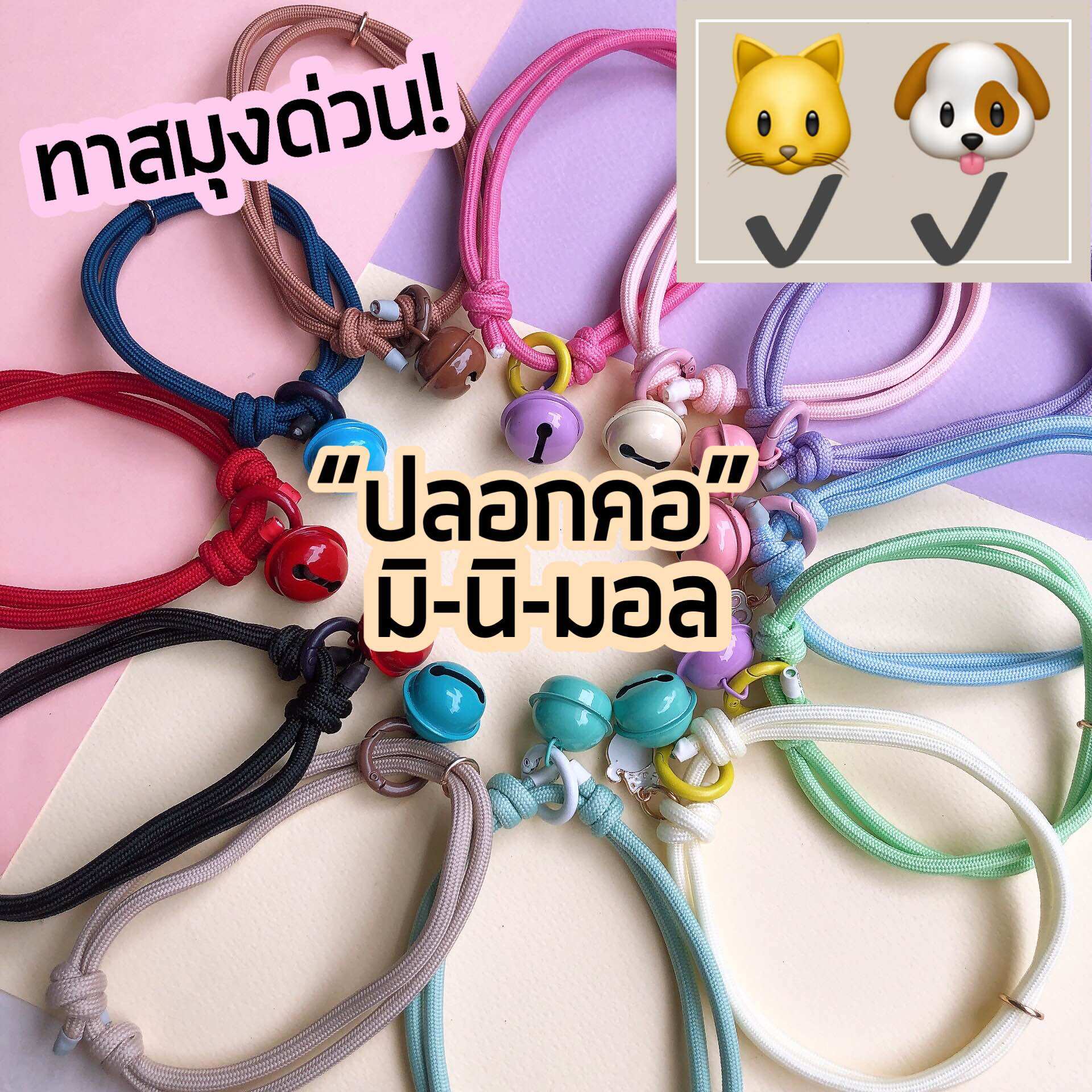 ปลอกคอน้องแมว น้องหมา สไตล์มินิมอล สีน่ารักสดใส