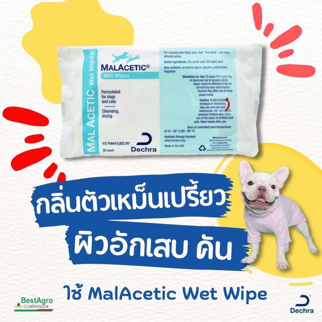 Malacetic wet sale wipes for dogs