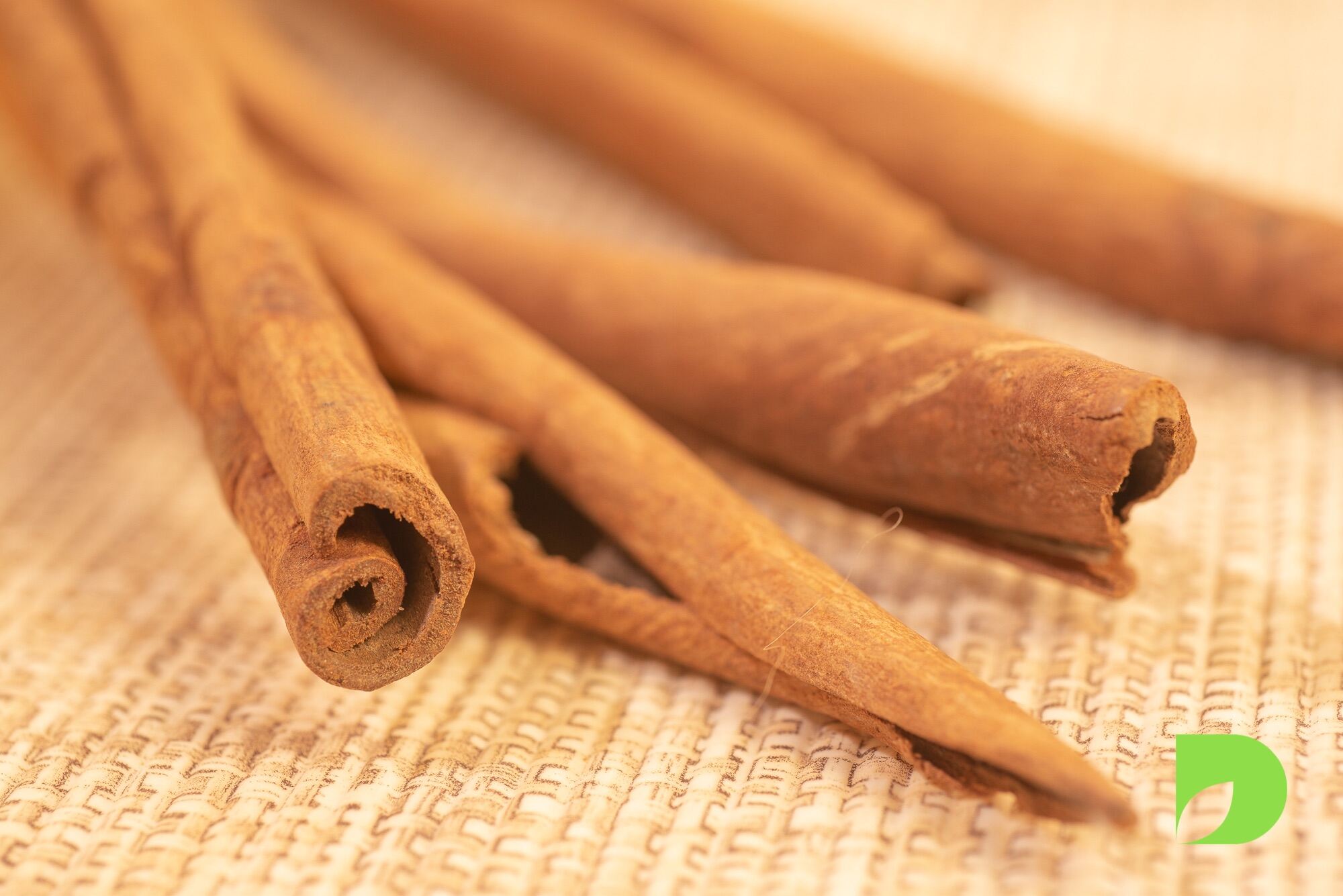 อบเชย CINNAMON เครื่องเทศ ราคาส่ง ส่งจากเยาวราช Lazada.co.th