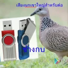 ภาพขนาดย่อของสินค้าเสียงนกเขาใหญ่