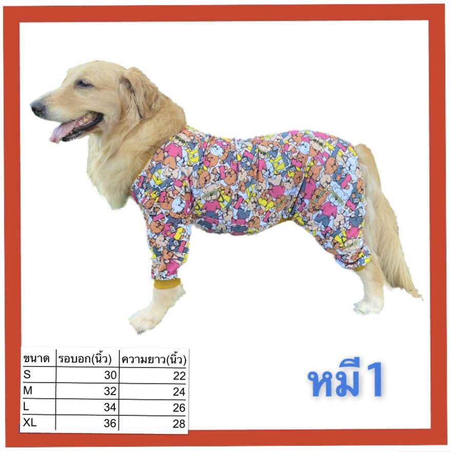 My Image 6