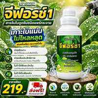 จีฟอร์ซวัน 1ลิตร สารจับใบเร่งการดูดซึม ไม่มีแอลกอฮอล์ ไม่ทำร้ายใบพืช ปรับสภาพของน้ำให้เป็นกลาง