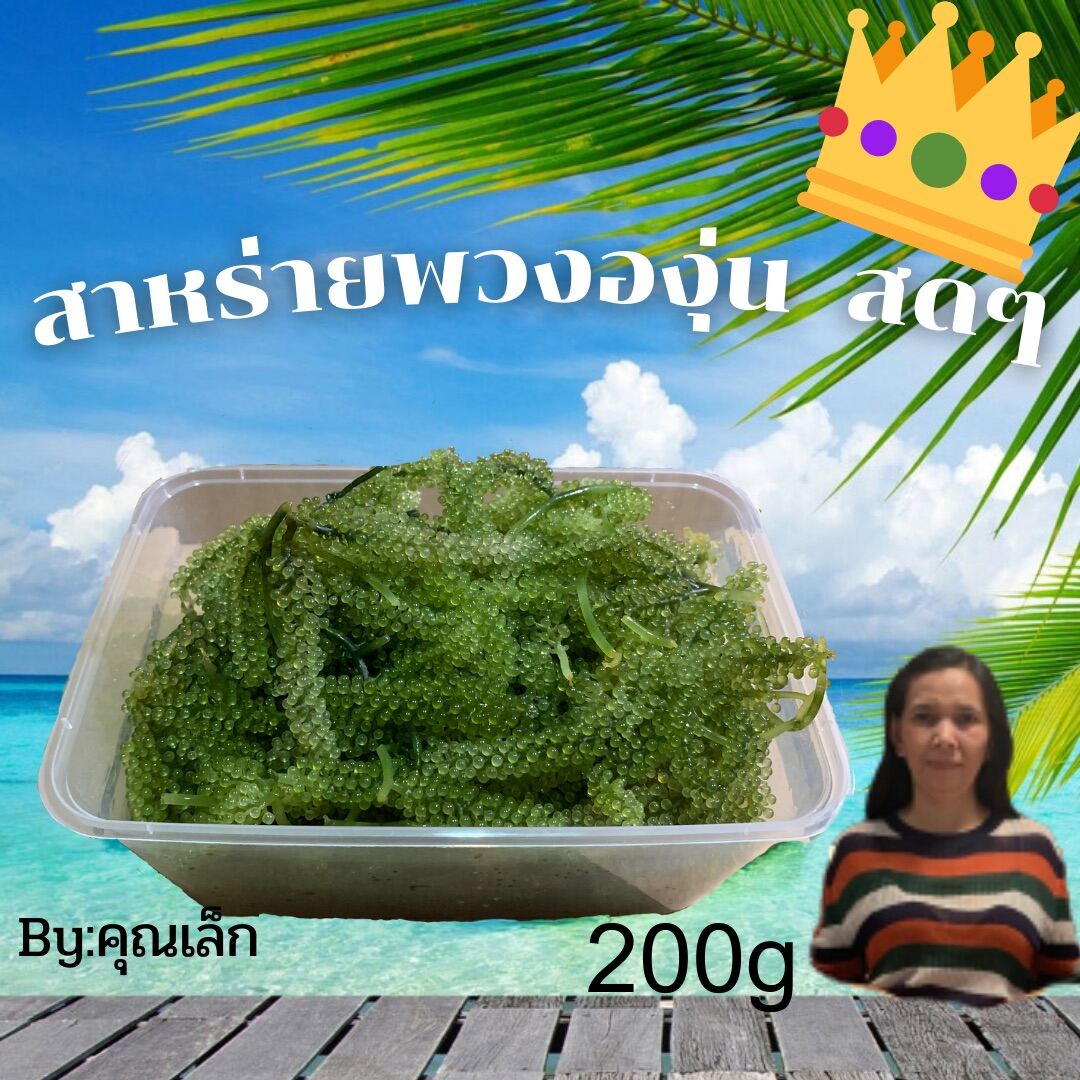 GREENCarviarThailand(สาหร่ายพวงองุ่นสดๆจากฟาร์ม) 200g