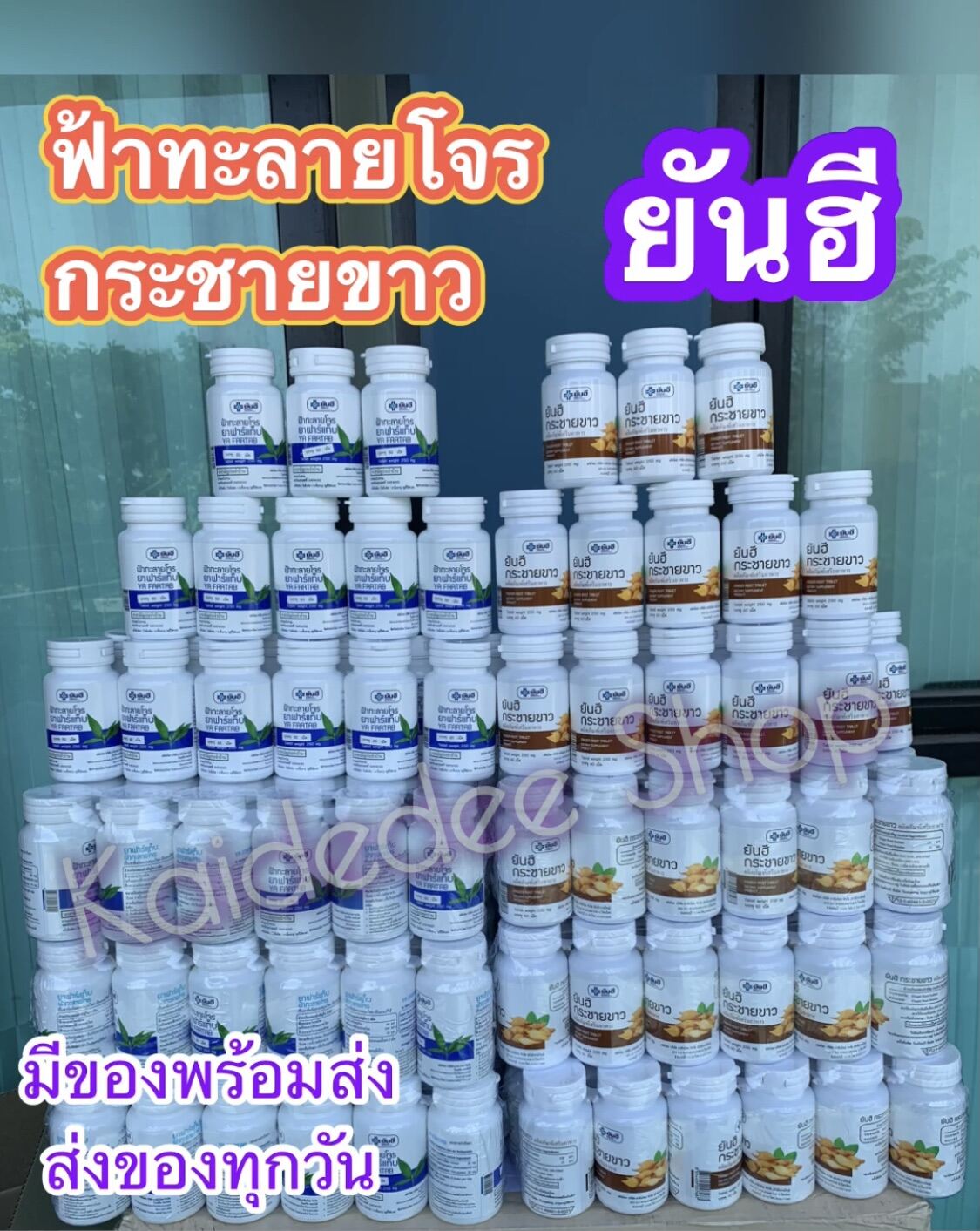 🌱ฟ้าทะลาย​โจร ~ กระชายขาว ยันฮี (มีของพร้อมส่ง )