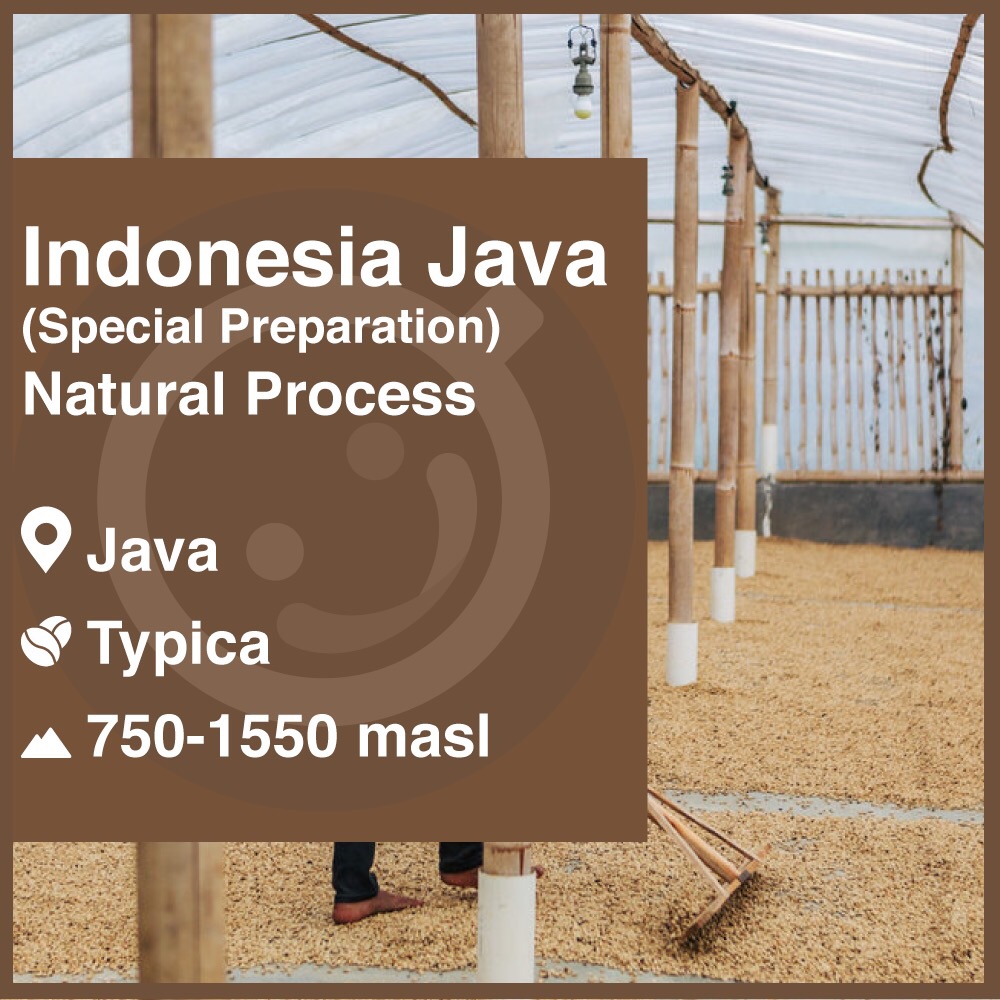 กาแฟสาร อินโดนีเซีย จาวา (กาแฟพิเศษ) Indoniesia Java  ขนาด 450 กรัม