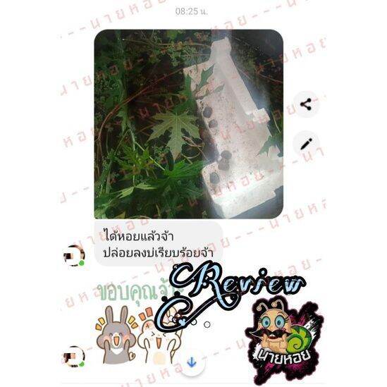 My Image 11