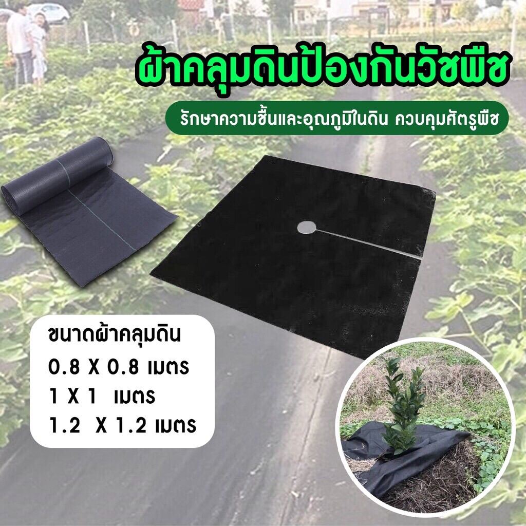 ผ้าคลุมดินป้องกันวัชพืช พร้อมเจาะรูตรงกลาง