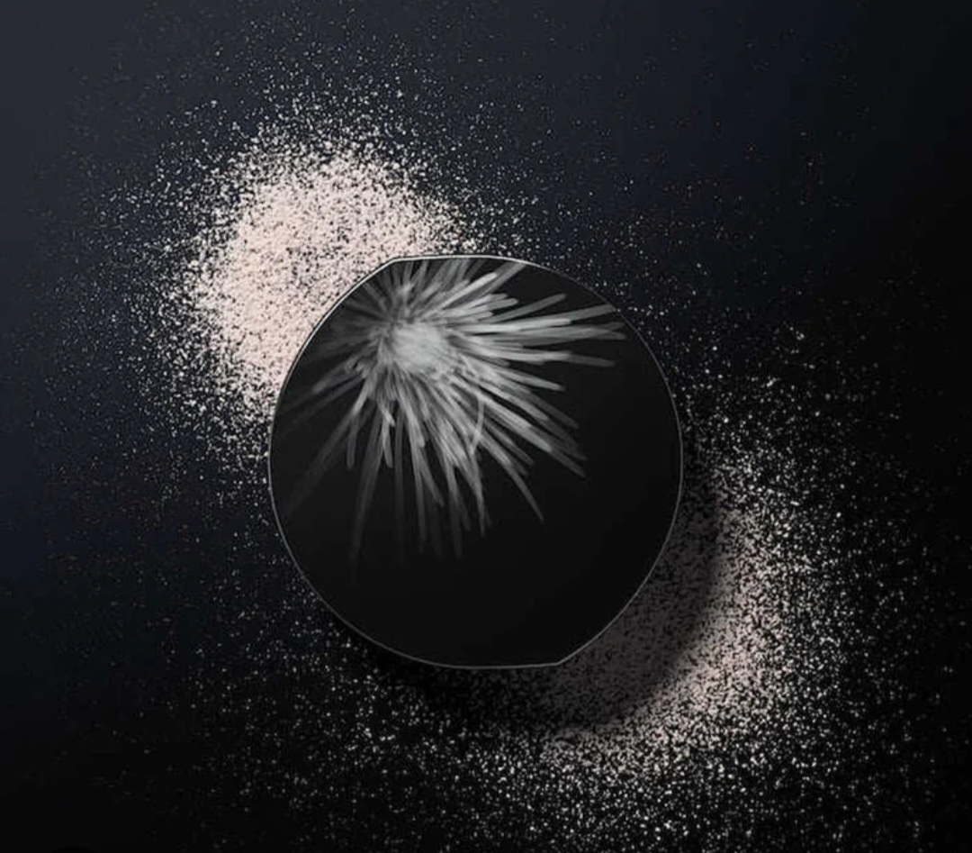 POLA BA FINISHING POWDER N โพลา บี เอ ฟินิชชิ่ง พาวเดอร์ เอ็น ราคา 4,350 บาท*ส่งฟรี