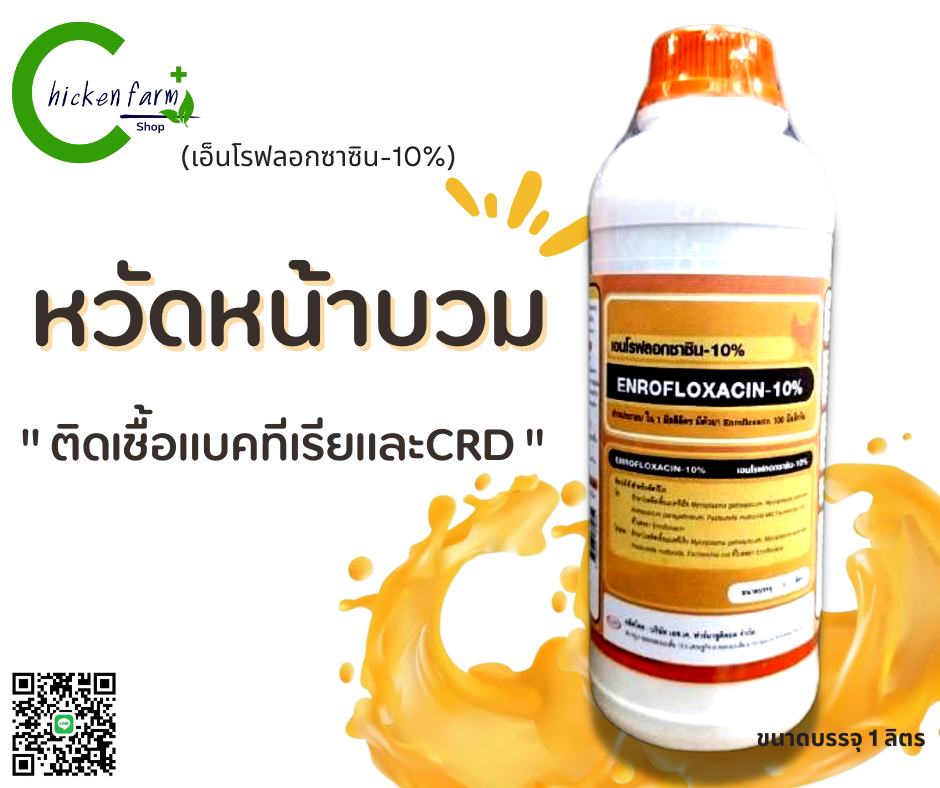 เอนโร 10% | Lazada.Co.Th: ซื้อขาย Others ออนไลน์ในราคาที่ถูกกว่า |  Lazada.Co.Th