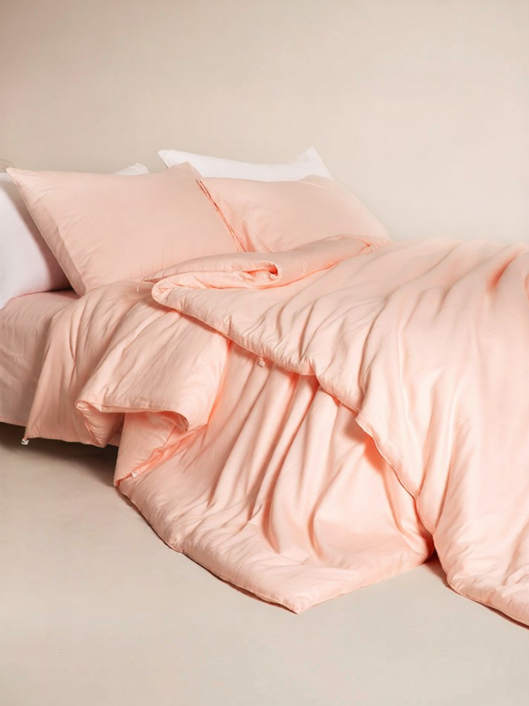 SILKUEEN | 100 Silkworm Silk Quilt 2-in-1 Cotton Core ราคา 12,675 บาท*ส่งฟรี