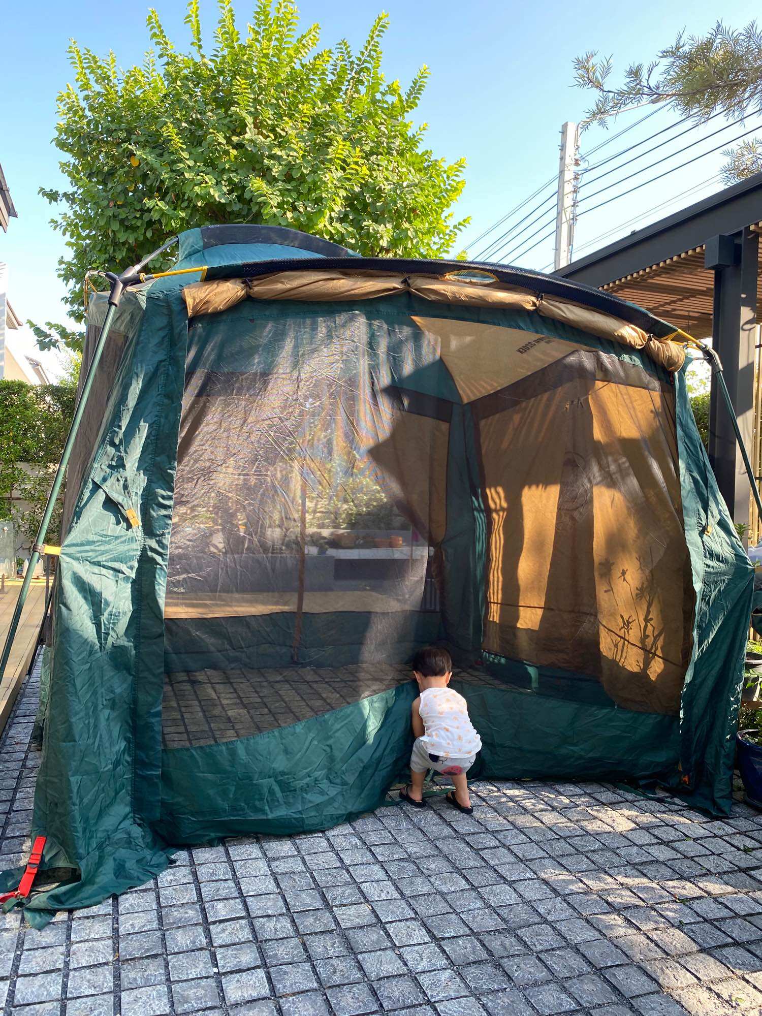 Coleman Round Screen 320EX Plus 【公式通販】