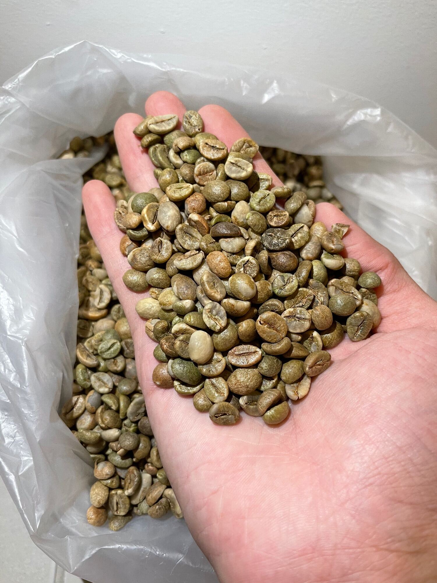 Hs Code For Raw Coffee Beans