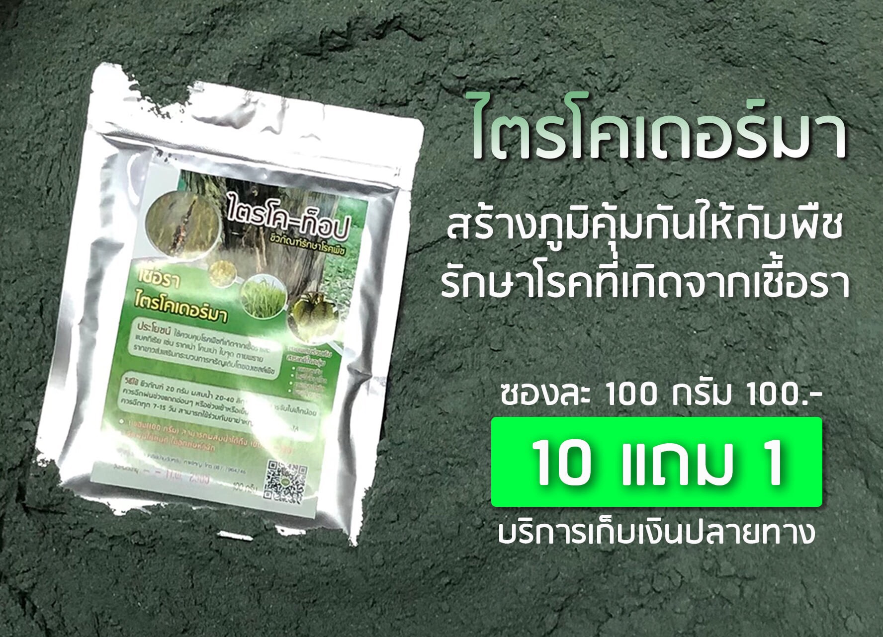 ไตรโคเดอร์มาเข้มข้น ผสมน้ำใช้ได้ทันที ชนิดเข้มข้น 100 กรัมผสมได้ 200 ลิตร