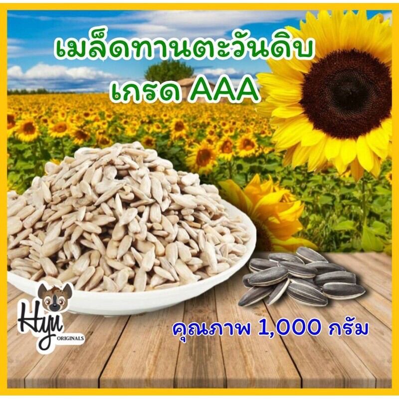 เมล็ดทานตะวันดิบ คุณภาพเกรด AAA