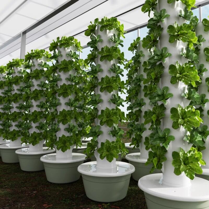 ZHUOLESHI | Vertical Air Mist Cultivation Smart Vegetable Growing Machine ราคา 2,846 บาท*ส่งฟรี