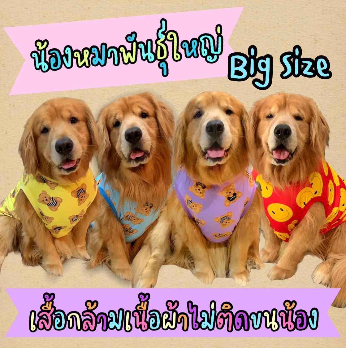 เสื้อสุนัขพันธุ์ใหญ่ เสื้อน้องหมาตัวใหญ่ เสื้อสุนัขใหญ่ เสื้อสุนัข XL XXL #โกลเด้นรีทรีฟเวอร์#ลาบาดอร์#ไซบีเรียน