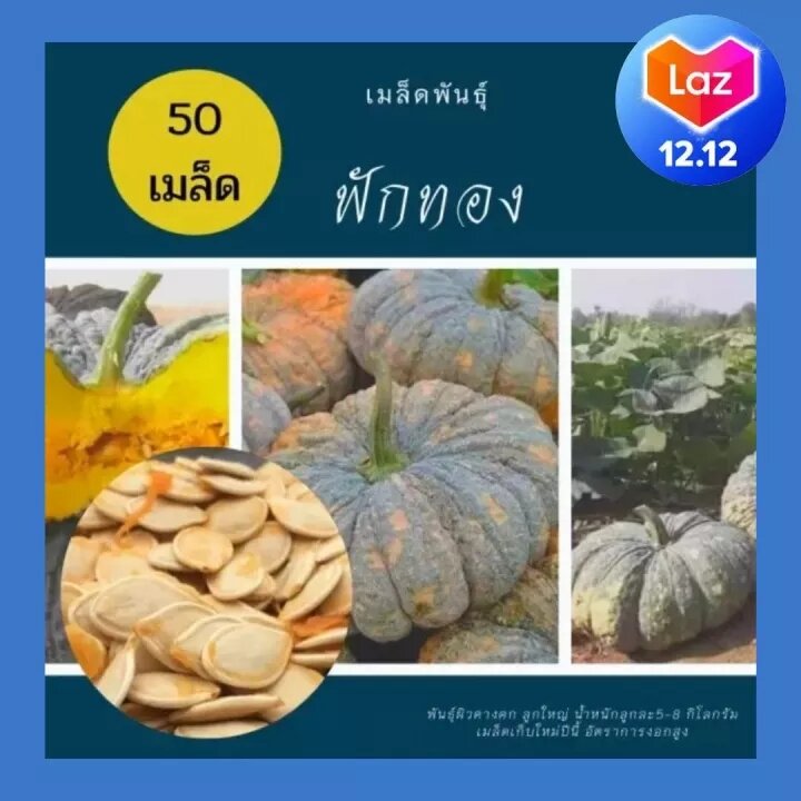 My Image 14