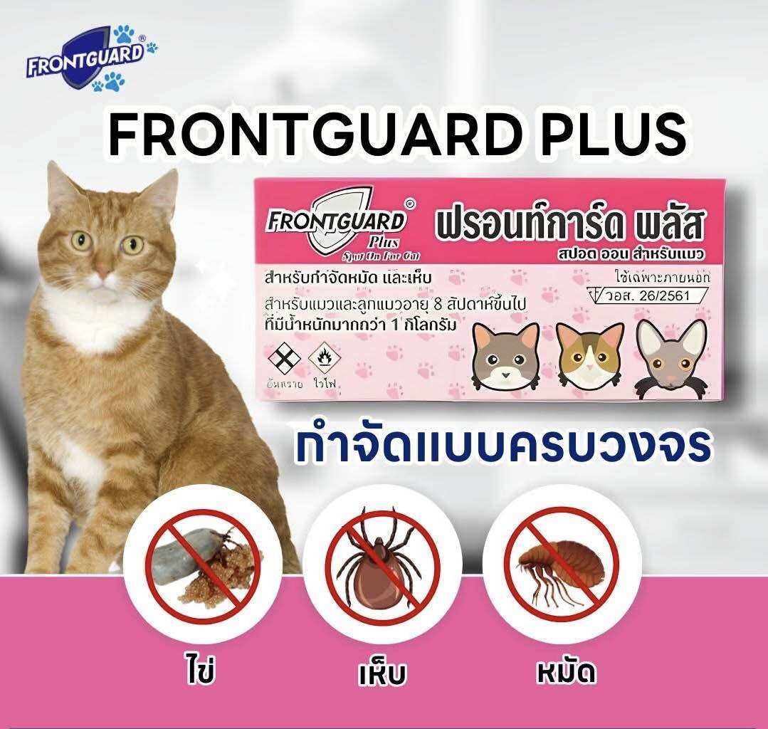 ช้อป ยาหยอดหลังหูแมว ราคาสุดคุ้ม พร้อมโปรฯ Lazada Thailand