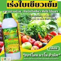 🌿เร่งเขียวโตไว🌱 แก้พืชโทรม ปรับสภาพทั้งพืชและดิน สารใบเขียวอินทรีย์🌿