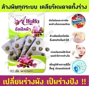 ภาพหน้าปกสินค้า🌱อัลฟัลฟ่า Alfalfa🎖️ของแท้ รีวิวแน่น‼️ ล็อตใหม่ 🆕💣d,e°tox คลอโรฟิลล์​  มะเร็ง เก๊าท์ อัลฟาฟ่า ที่เกี่ยวข้อง