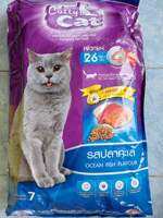 อาหารแมว Catty cat 1-3kg.