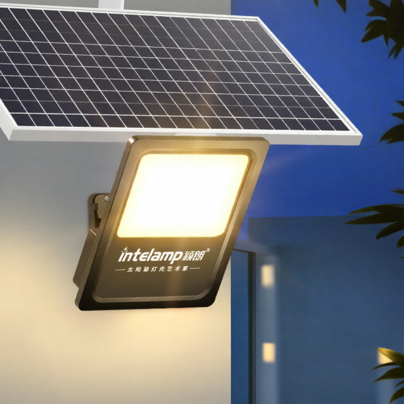 intelamp | Photovoltaic Solar Outdoor Light Separate Design ราคา 5,888 บาท*ส่งฟรี