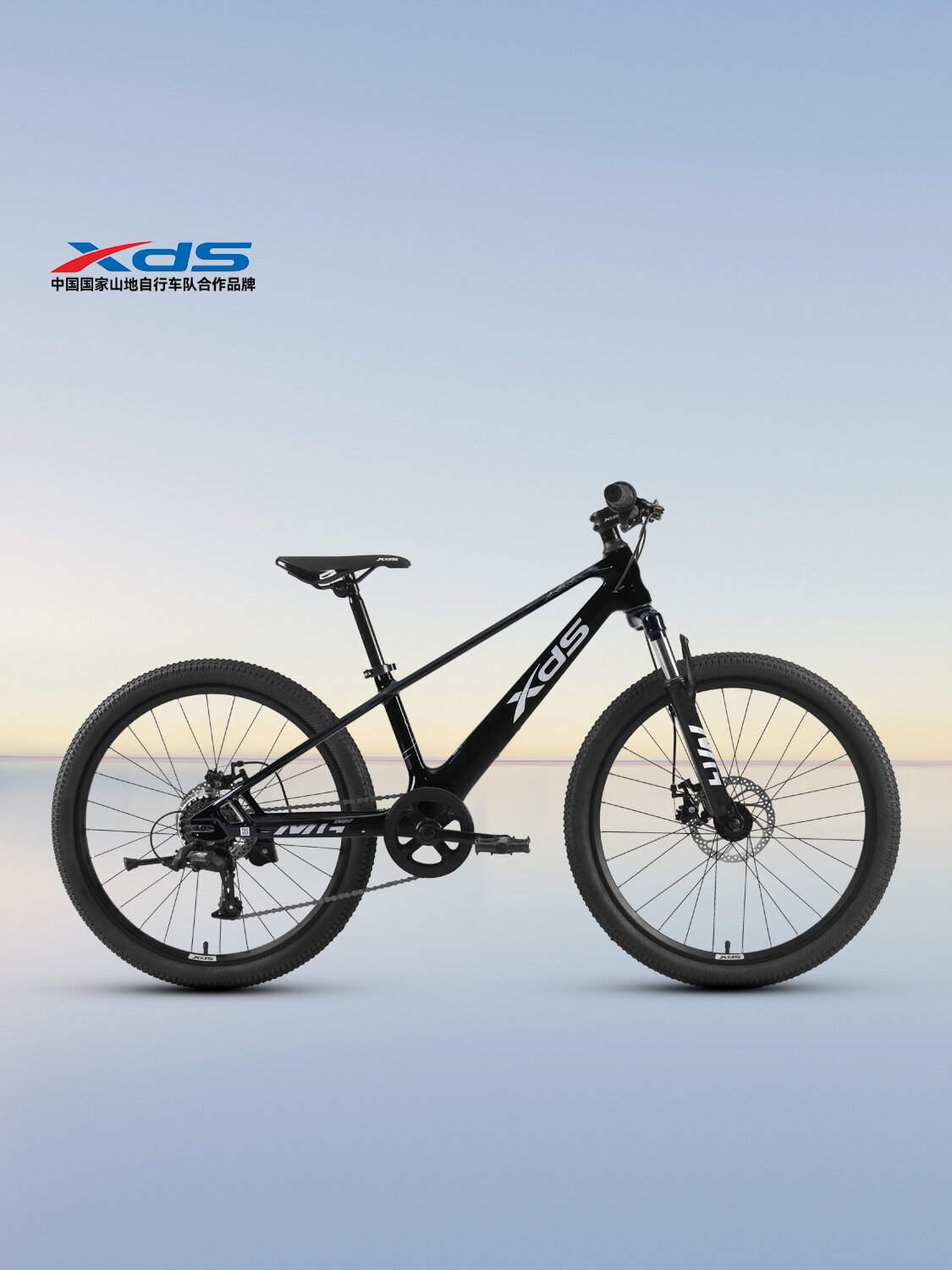 Children's Mountain Bike 20 Inch ราคา 13,579 บาท*ส่งฟรี