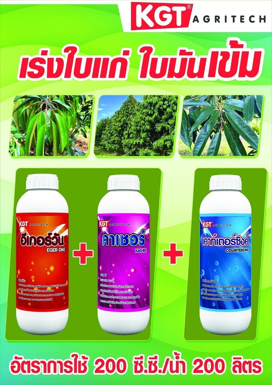 อีเกอร์-วัน / คาเชอร์ /เคาท์เตอร์ซิงค์ คุณสมบัติ เร่งใบแก่ ใบมันเข้ม สะสมอาหาร ราคา 1,090 บาท*ส่งฟรี