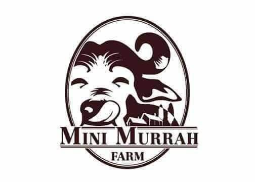 [e-ticket] Mini Murrah Farm มินิมูร่าฟาร์ม แจ้ง code ใน chat