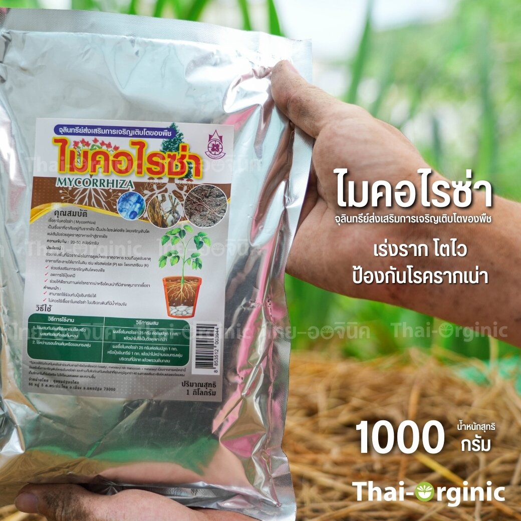 ไมคอร์ไรซา 1 กิโล ผงไมโคไรซ่า ไมคอไรซ่า ไมโครไรซ่า ไมคอร์ไรซา ไมคอร์ไรซ่า Mycorrhiza ??มั่นใจ100% เมื่อซื้อกับนักวิจัยและผู้ผลิตโดยตรง??ล็อตใหม่ล่าสุด
