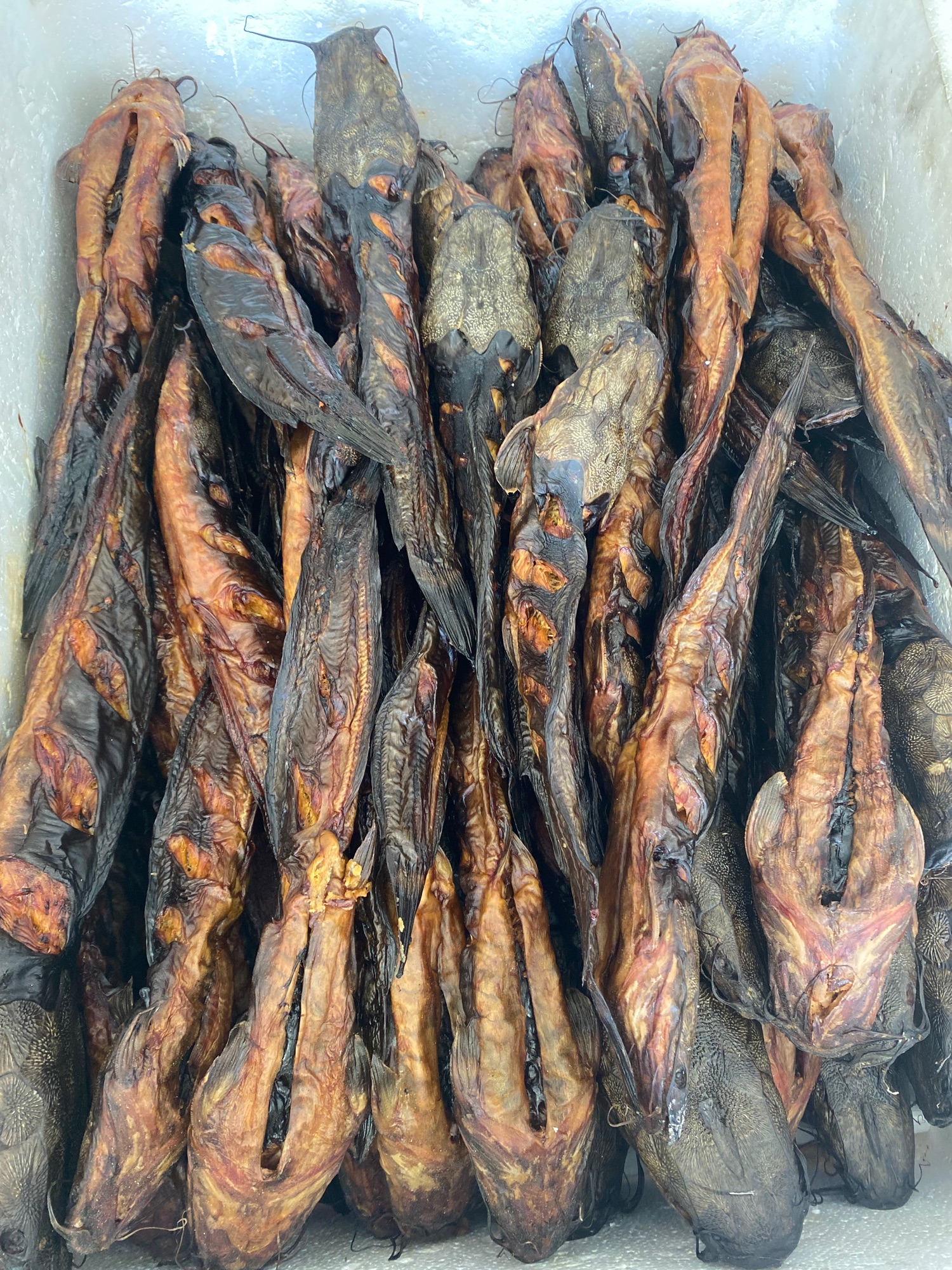 Cá trê nướng (hun khói) 1000 gram (1 kg) Cá trê hun khói thơm Lazada.co.th
