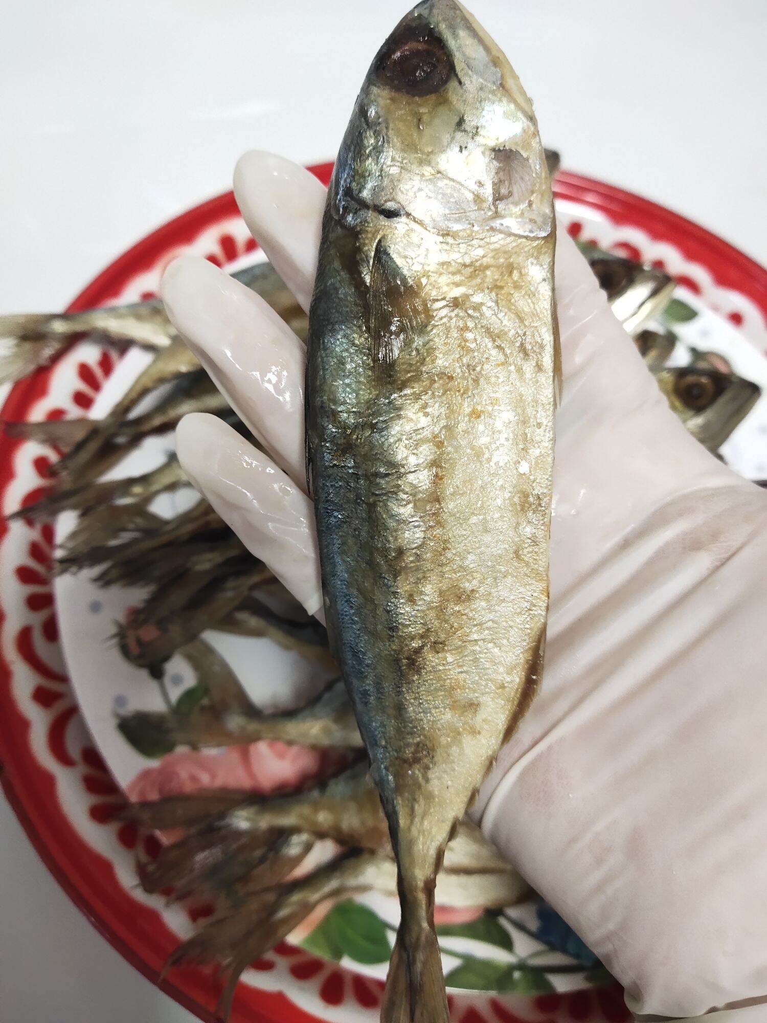 Tuna Fish, 129 Per Fish, Some Have Their Heads Missing, Some Are Very Thin, so They Sell for a Cheap Price. ราคา 129 บาท*ส่งฟรี