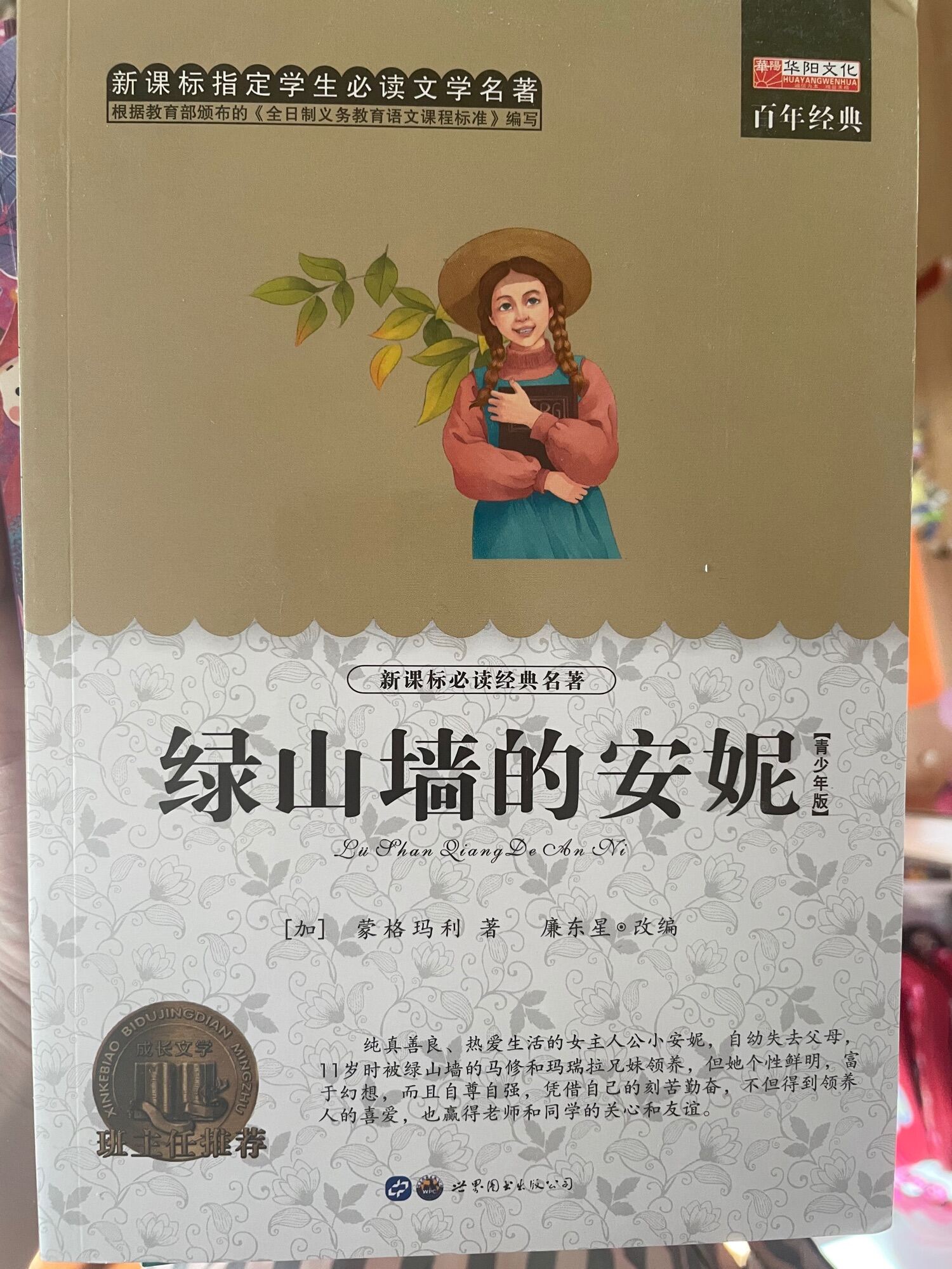 CHINIESE BOOKS绿山墙的安妮lvshanqiangdeanni Chinese reading book