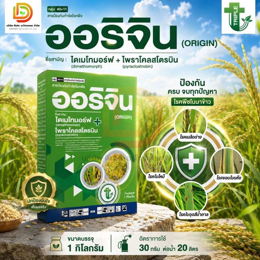 # Origin: Diametomorph+Pyraclostrobine, Size 1 Kilogram, 2 Fungi Plus, Eliminates Downy Mildew, Stem Rot, Sheath Rot, Mildew, Leaf Burn.