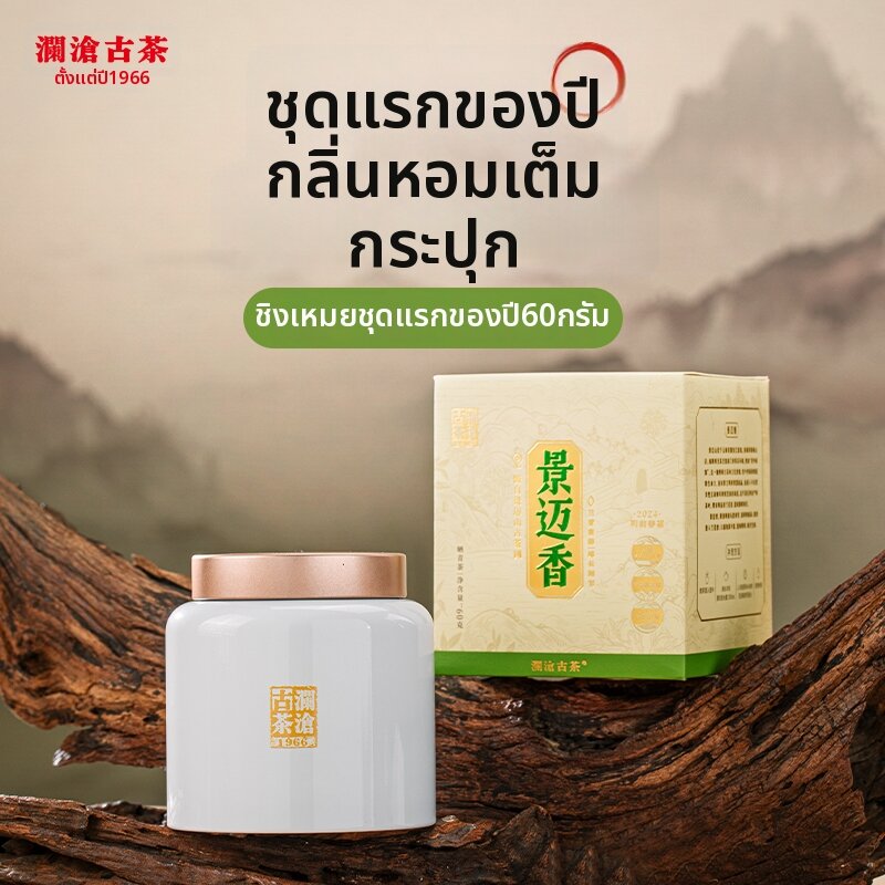 LANCANGGUCHA | Pre-Qing Ming Ancient Tree Spring Pu'er Raw Tea ราคา 2,120 บาท*ส่งฟรี