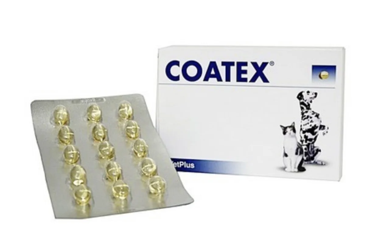 Coatex 60 capsules โค้ชเท็ก 60 แคปซูล อาหารบำรุงผิวหนังและบำรุงขน สุนัขและแมว,บำรุงขน,บำรุงผิวหนัง,ยาบำรุงขนสุนัขและแมว