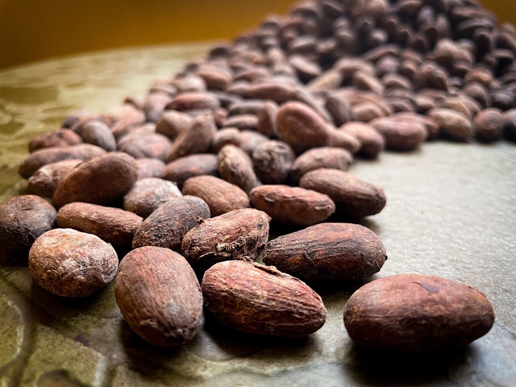 เมล็ดโกโก้แห้ง Cacao Beans เกรด A รสชาติโกโก้แท้ๆปลูกแบบ Organic, Taste