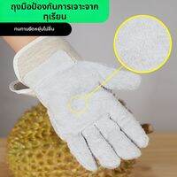 Terrain Kun | ถุงมือหนาทนทานป้องกันการเจาะสำหรับทุเรียน