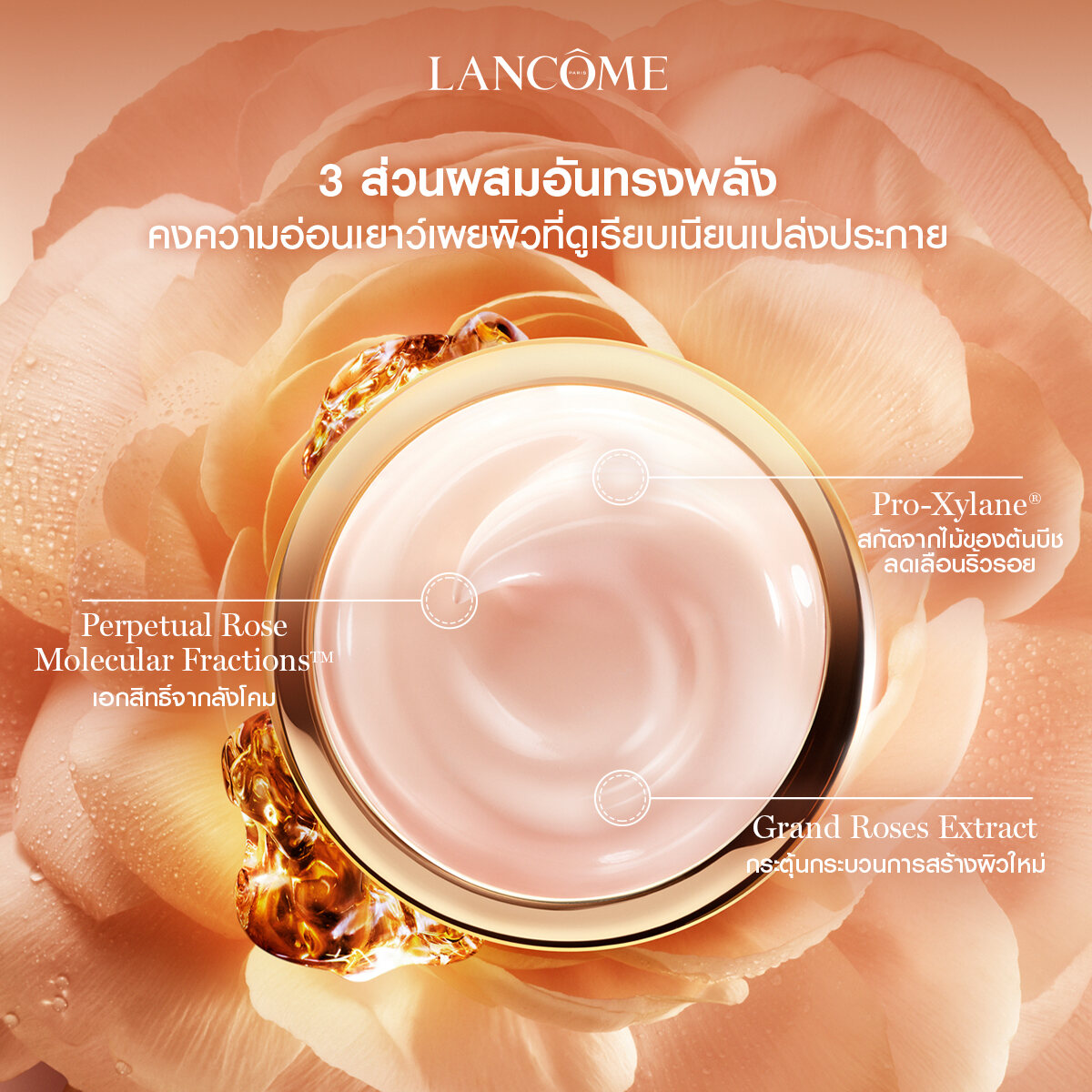 LANCOME ABSOLUE LIGHT CREAM 60ML มอยเจอไรเซอร์เนื้อบางเบา  ฟื้นบำรุงถึงระดับเซลล์ผิว เผยผิวที่ดูเนียนละเอียด (ครีมทาผิว ครีมบำรุง  มอยเจอร์ไรเซอร์ Moisturizer) | Lazada.co.th