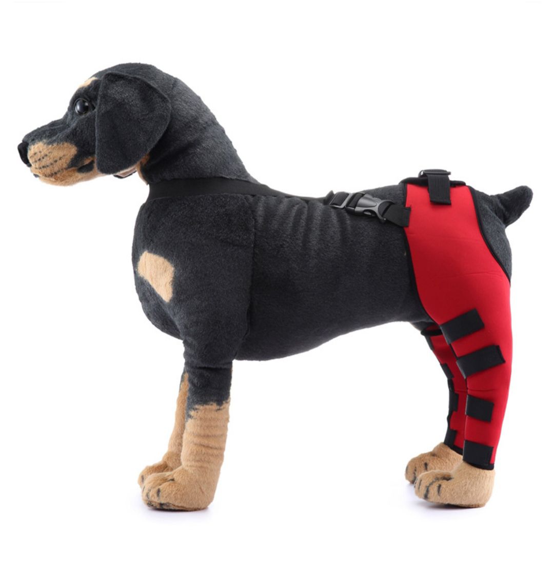 สีดำ เบอร์ S กางเกงพยุงขาหลังสุนัข อุปกรณ์พยุงขาหลังสุนัข อุปกรณ์พยุงขาหลัง กางเกงกันกัดแทะแผล support ขาหลังสุนัข กางเกงรัดข้อสุนัข