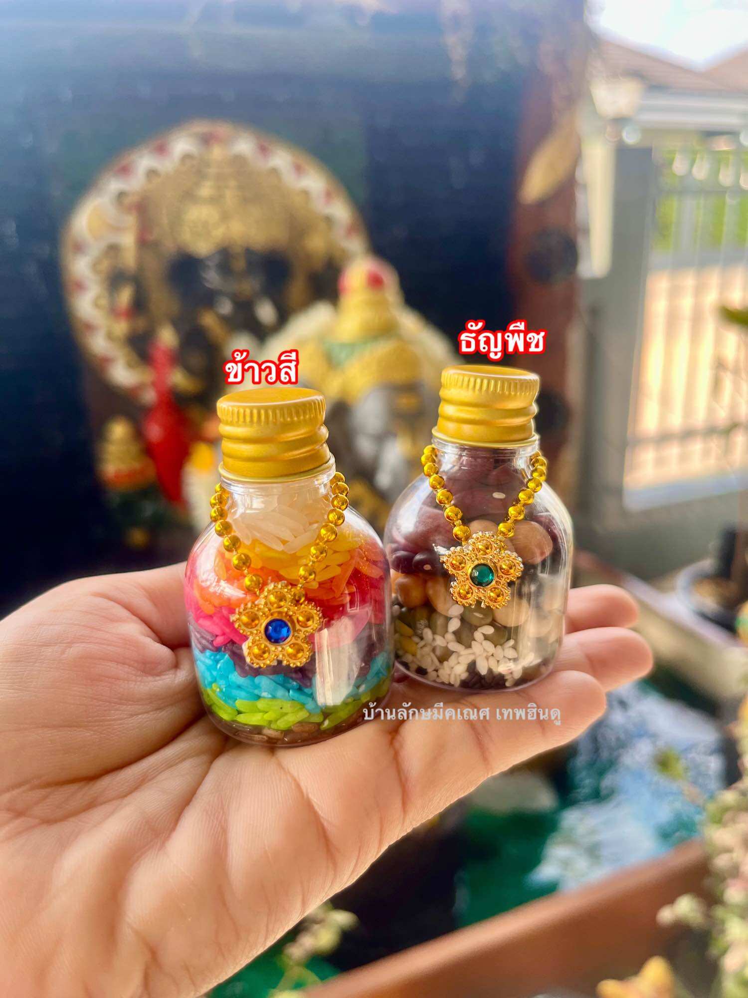 Offerings to the God Ganesha: Set of 9 Types of Cereals + 9 Colors of Rice Paste, Lord Ganesha, Lady Lakshmi.