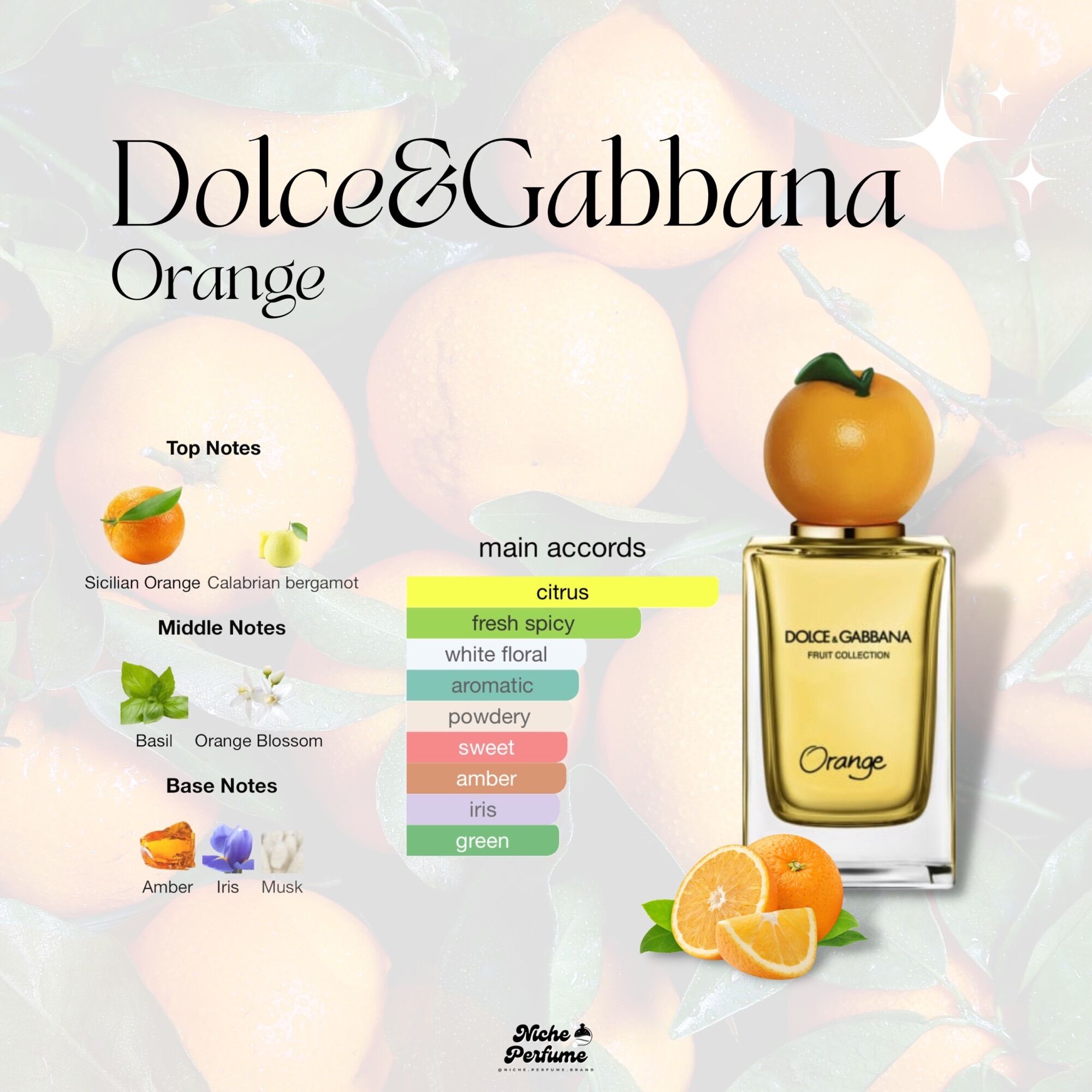 Gabbana Pineapple Orange Dolce Gabbana Fruit Collection Lemon