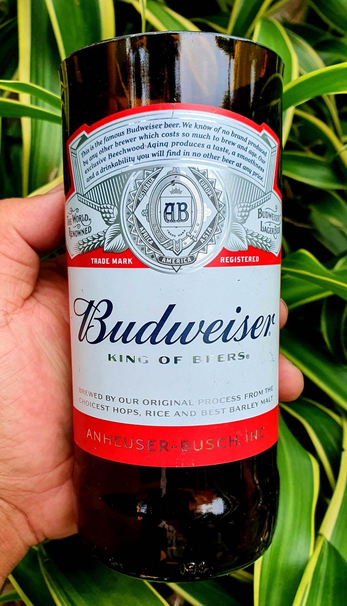 แก้วตัดจากขวด Budweiser Lazada.co.th