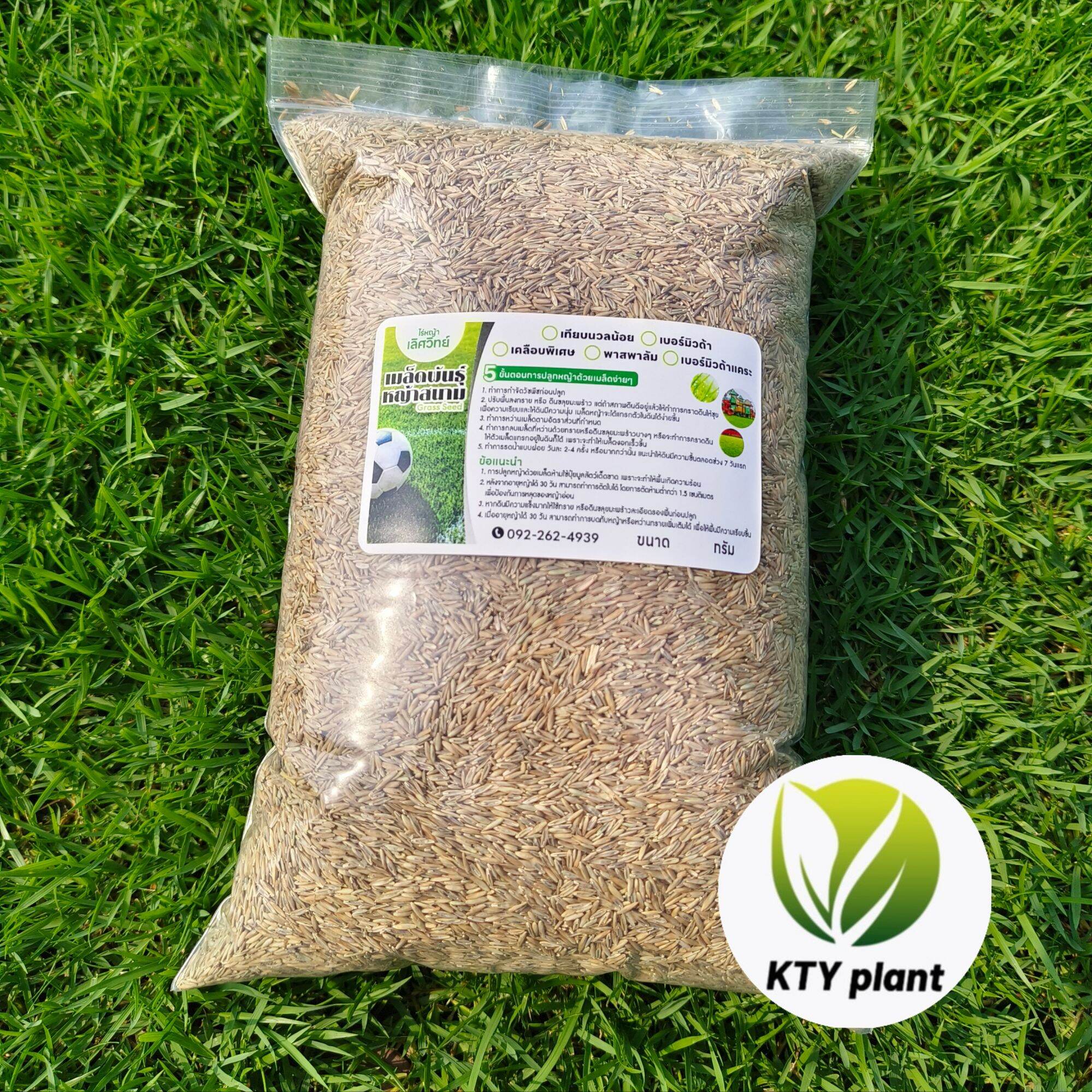 1 Kilogram of Nuil Noi Grass Seeds. Nuil Noi Variety Seeds Are Easy to Grow and Have a High Germination Rate. ราคา 395 บาท*ส่งฟรี