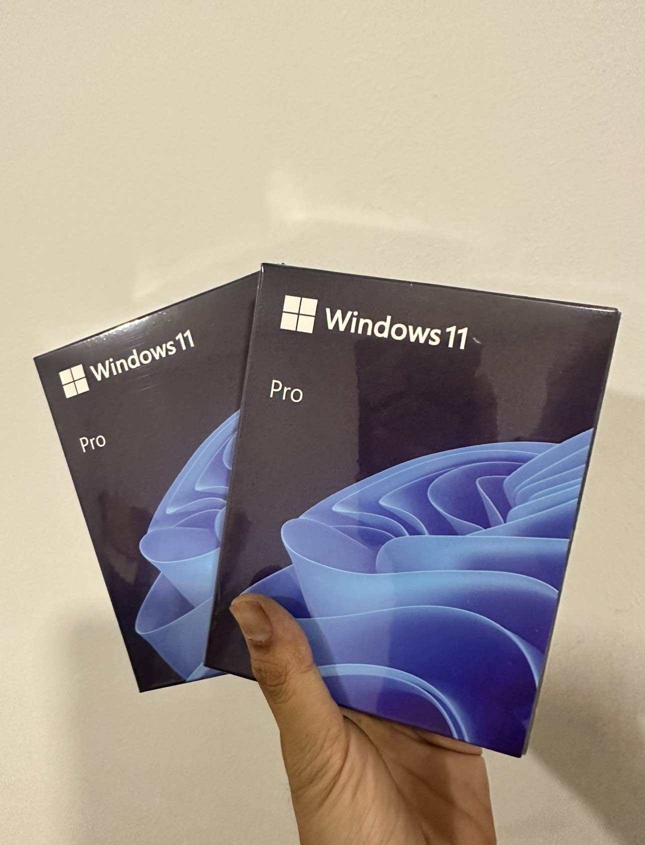 Windows 11 pro usb fpp full package hav 00163 